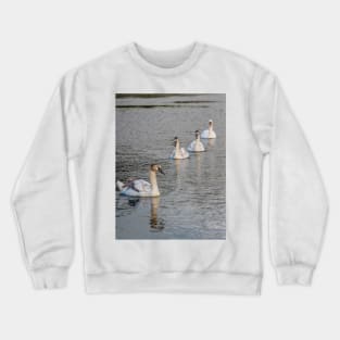 Family outing Crewneck Sweatshirt